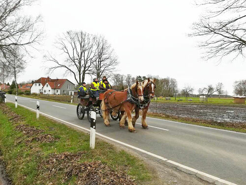 Kutschenprüfungen 2019 erfolgreich bestanden