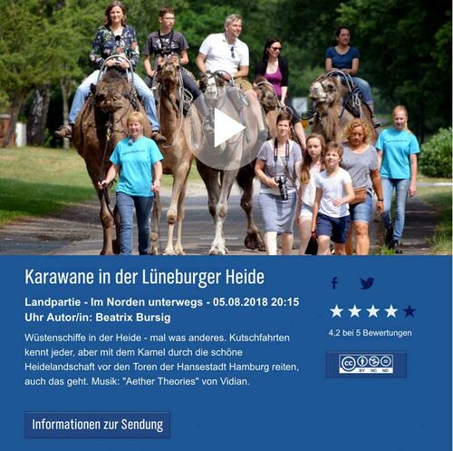 Musikfestigkeit der Pferde geprüft