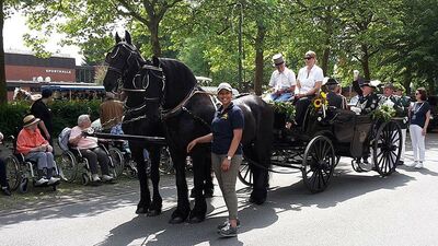Kutschfahrten Schützenfest Munster 2018