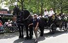 Kutschfahrt Schützenfest Munster 2018