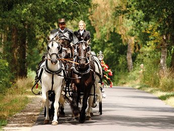 Hochzeitskusche buchen bei Kutschen Meyer